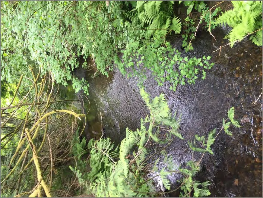 Plate 4: Looking downstream from pedestrian bridge