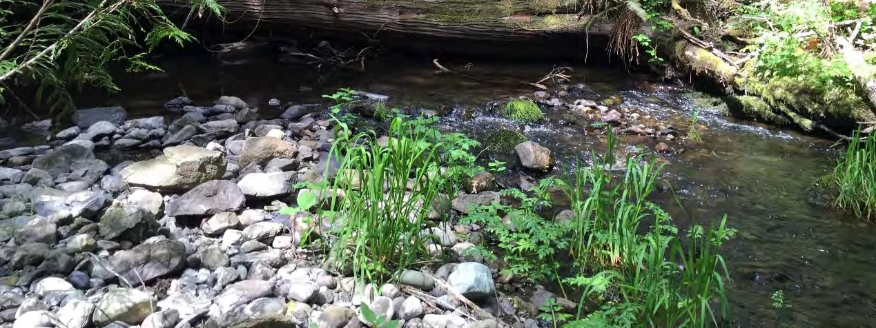 Plate 7: Storm pond outlet structure
