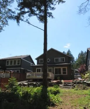 Backyard view showing houses and a tall tree in the foreground