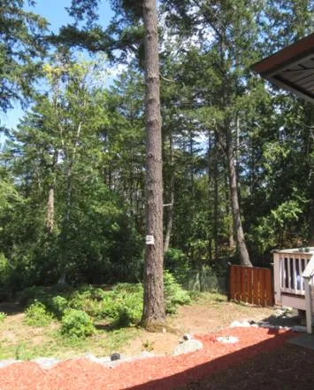 Base of a tree trunk in a yard featuring red mulch and a nearby fence and deck