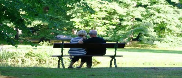 Two people sitting on a park bench under large trees