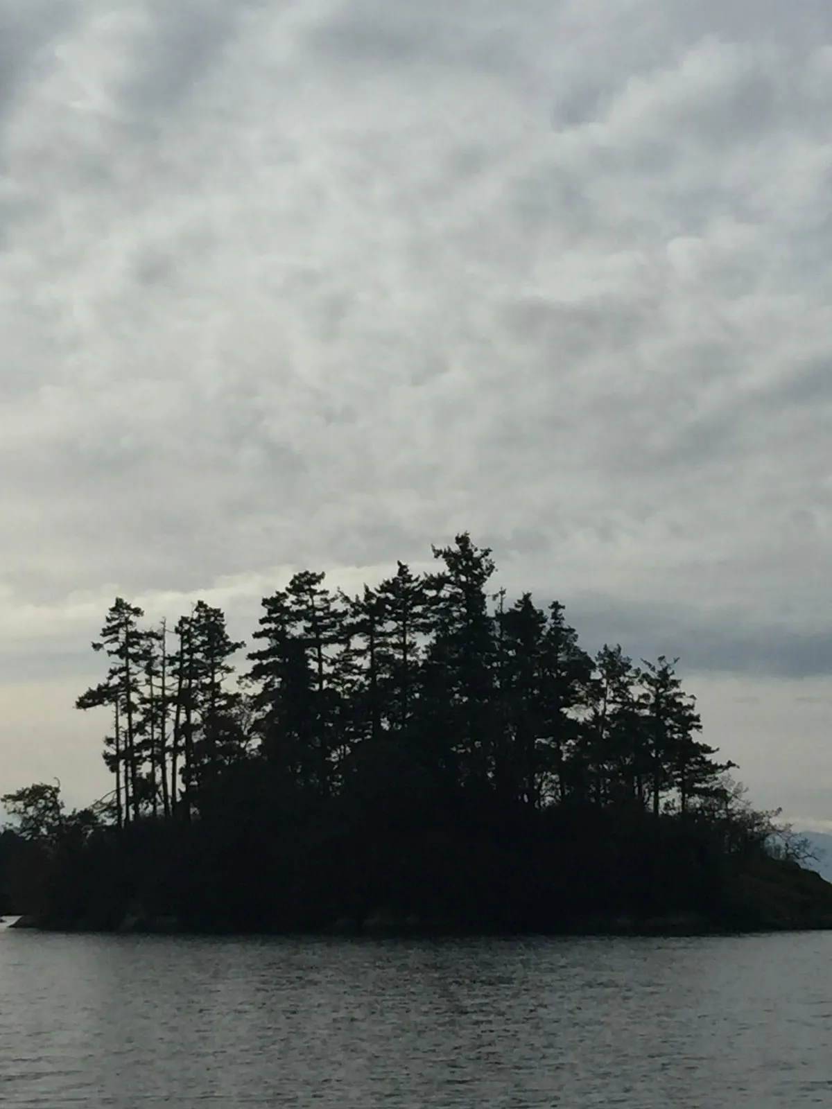 Silhouette of a small island covered in conifer trees on calm water under a cloudy sky