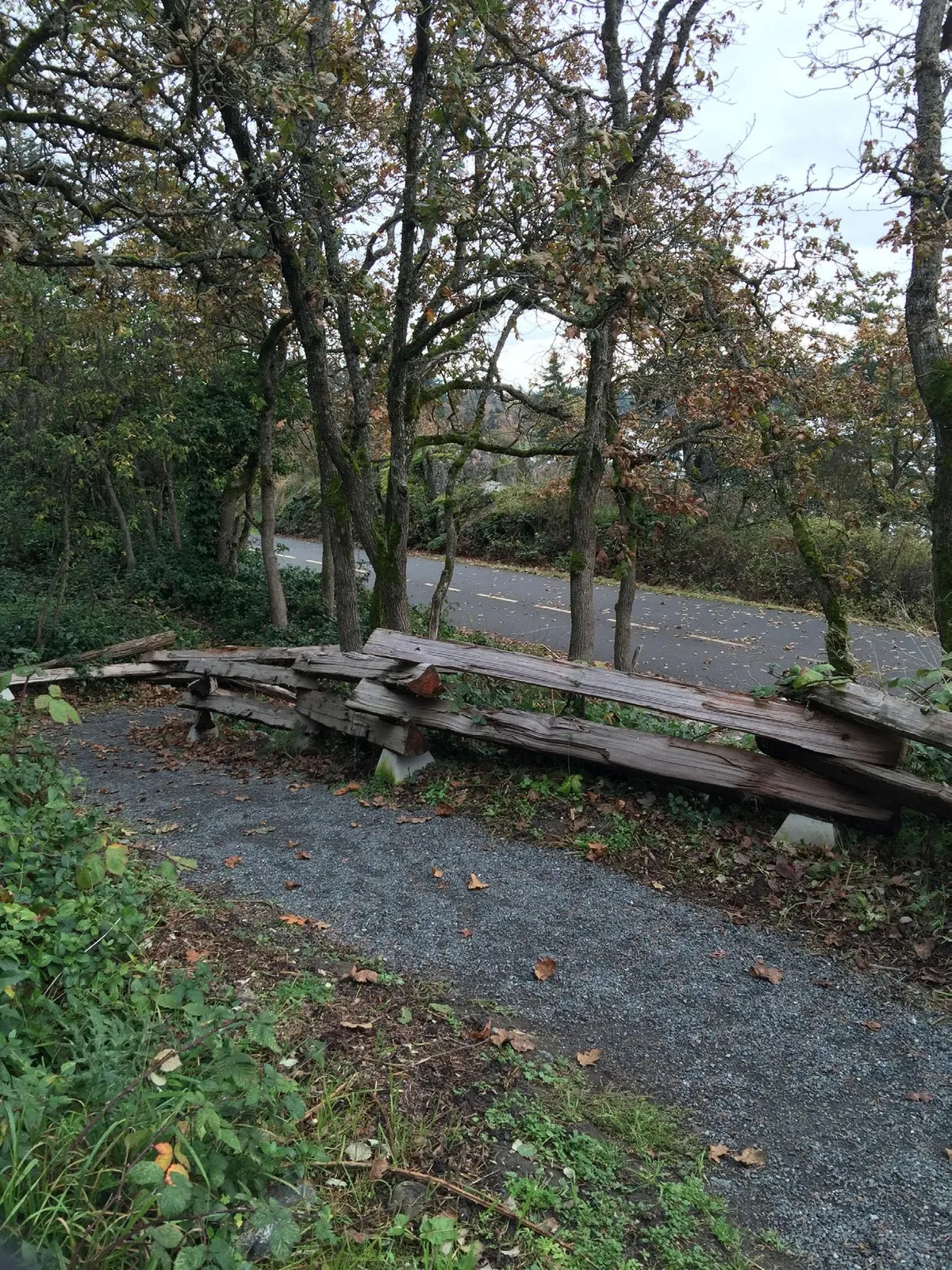 A rustic split-rail wooden fence borders a gravel walking path through a wooded area next to a road