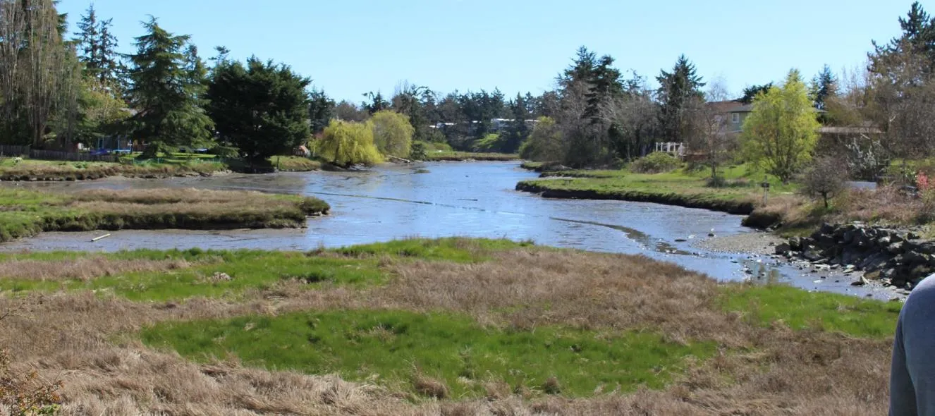 Wide view of the Portage Inlet shoreline showing low-lying marsh vegetation and surrounding houses