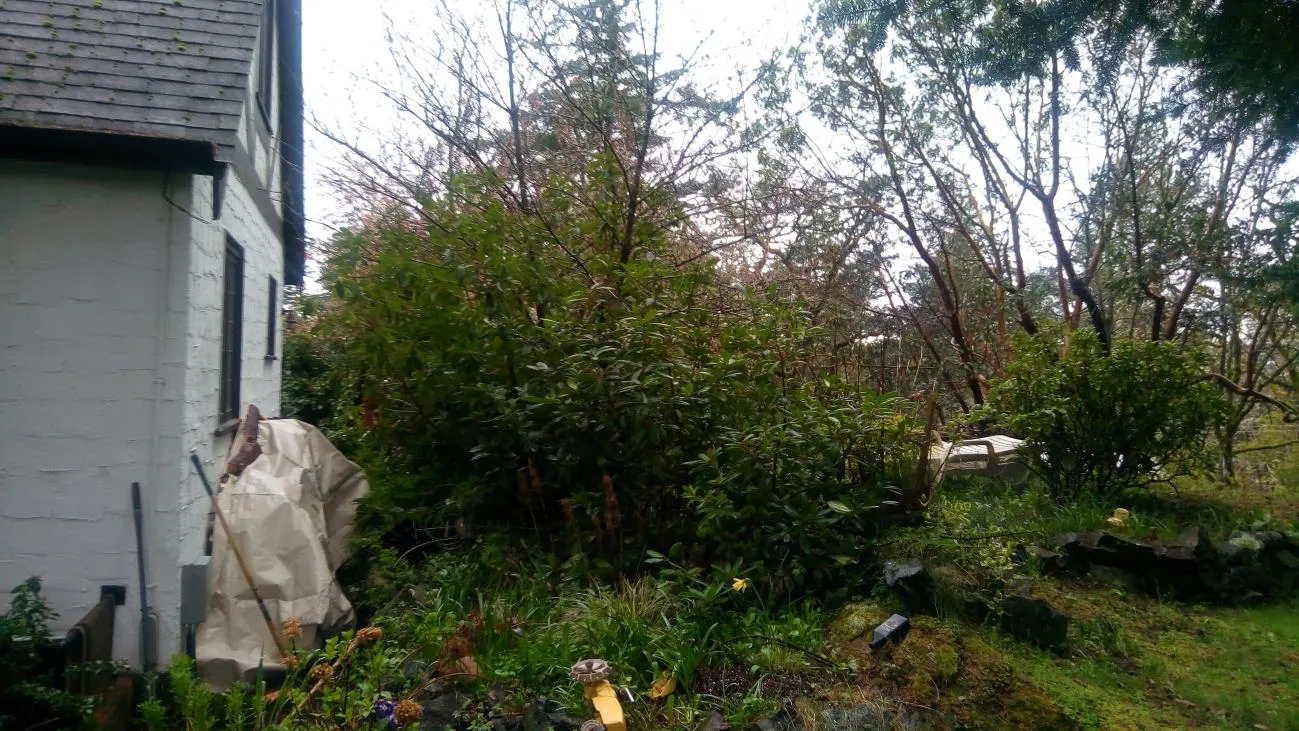 Location of proposed addition