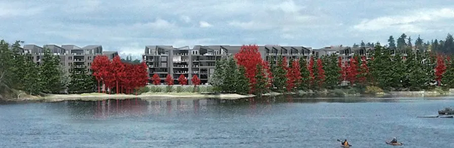 Rendering of Craigflower Bridge view at 10 years