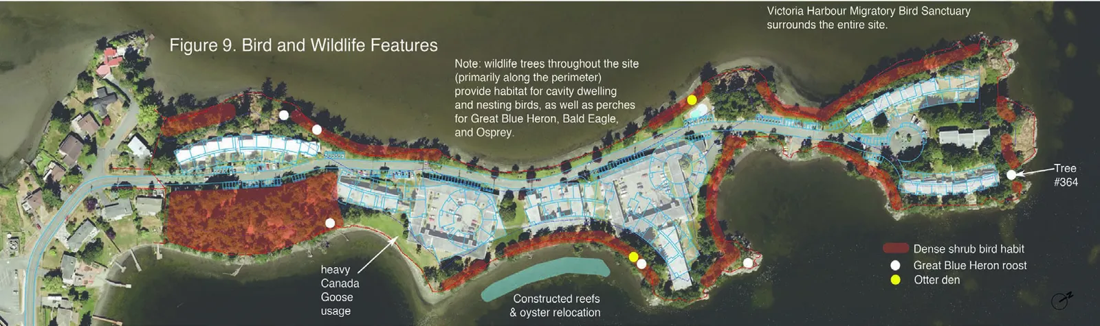 Shoreline area with vegetation