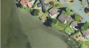Figure 9. Bird and Wildlife Features - aerial map identifying habitat areas and nesting trees