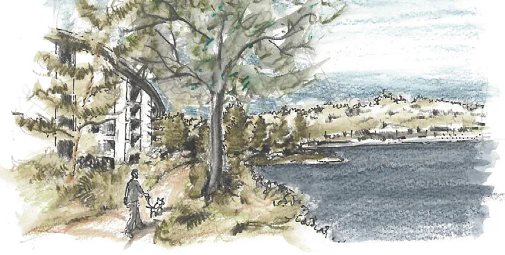 Watercolor illustration of a person walking a dog along a shoreline path with buildings in the background