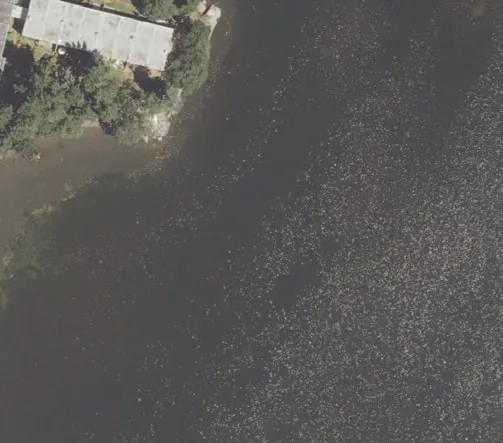 Aerial view of northern shoreline with residential building