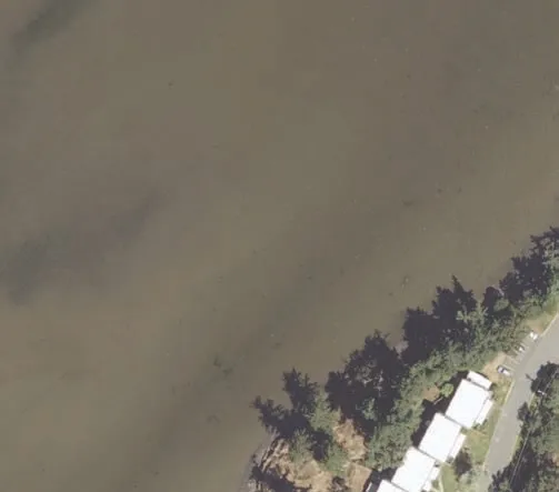 Aerial view of western water area