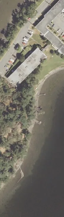 Aerial view of building parking lot and landscaped trees