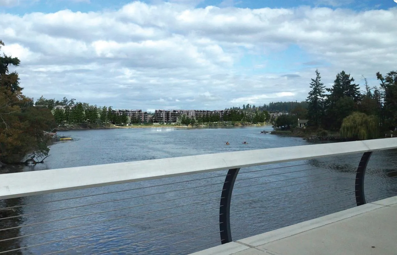 Rendering showing the proposed development from Seabird Park