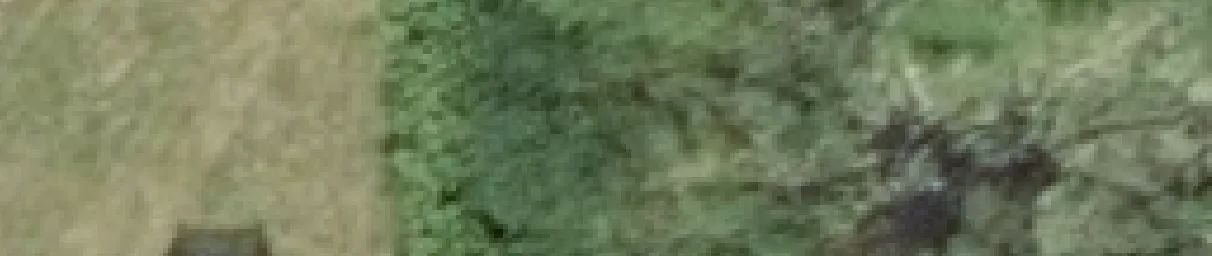 Aerial view crop of grass and greenery