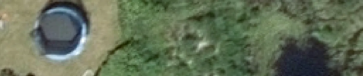 Aerial view crop of a backyard showing a trampoline