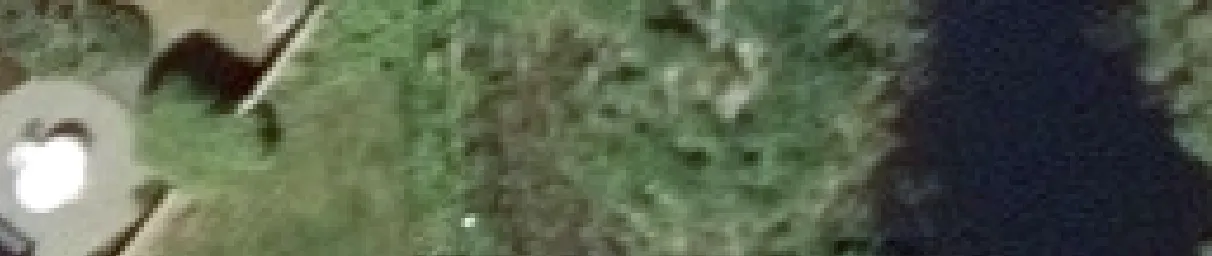 Aerial view crop of dense green foliage