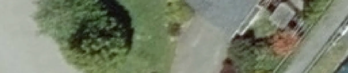 Aerial view crop of property lines and vegetation