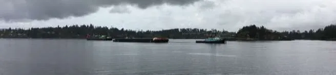 Barges in the harbour during remediation activities