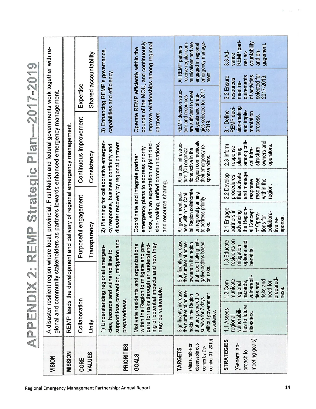 Diagram summarizing REMP Strategic Plan 2017-2019