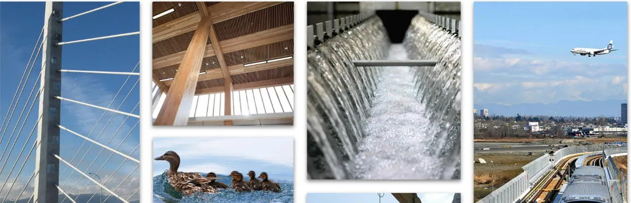 Collage showing infrastructure, water treatment, and nature