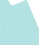 Detail of light blue shaded catchment area
