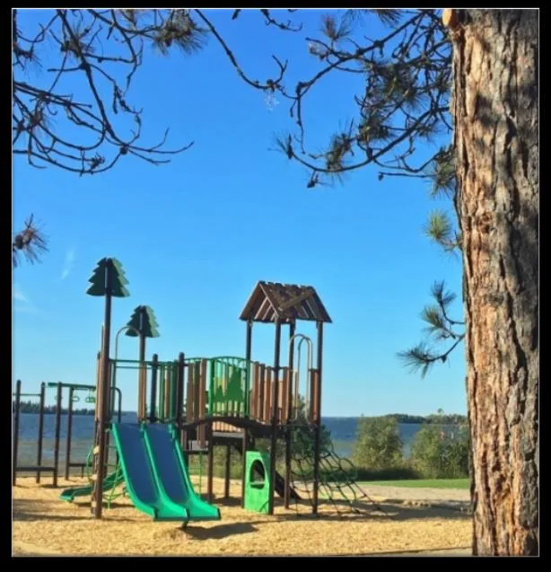 Photo of a playground structure installed in a park setting near water