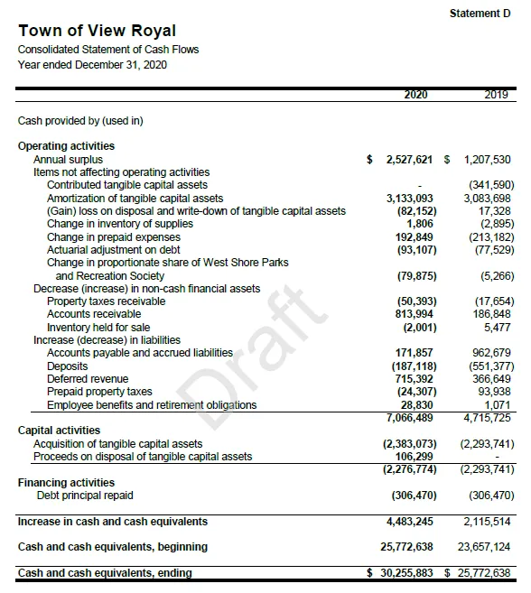 Statement D - Consolidated Statement of Cash Flows