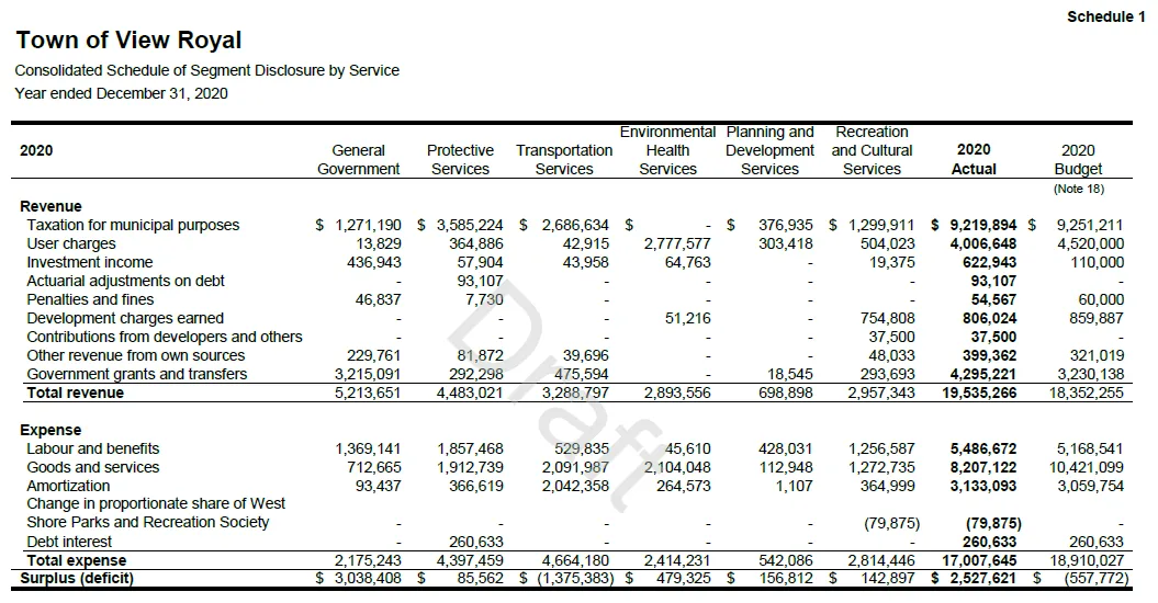 Schedule 1 - Consolidated Schedule of Segment Disclosure by Service for 2020