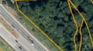 Detail view of the forested area immediately north of the development site.