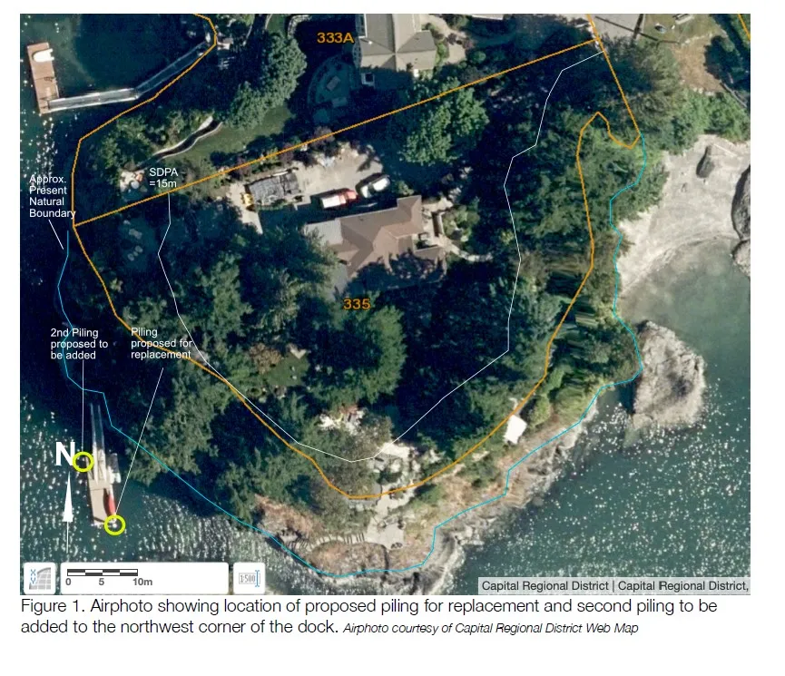 Figure 1. Airphoto showing location of proposed piling for replacement and second piling to be added to the northwest corner of the dock.