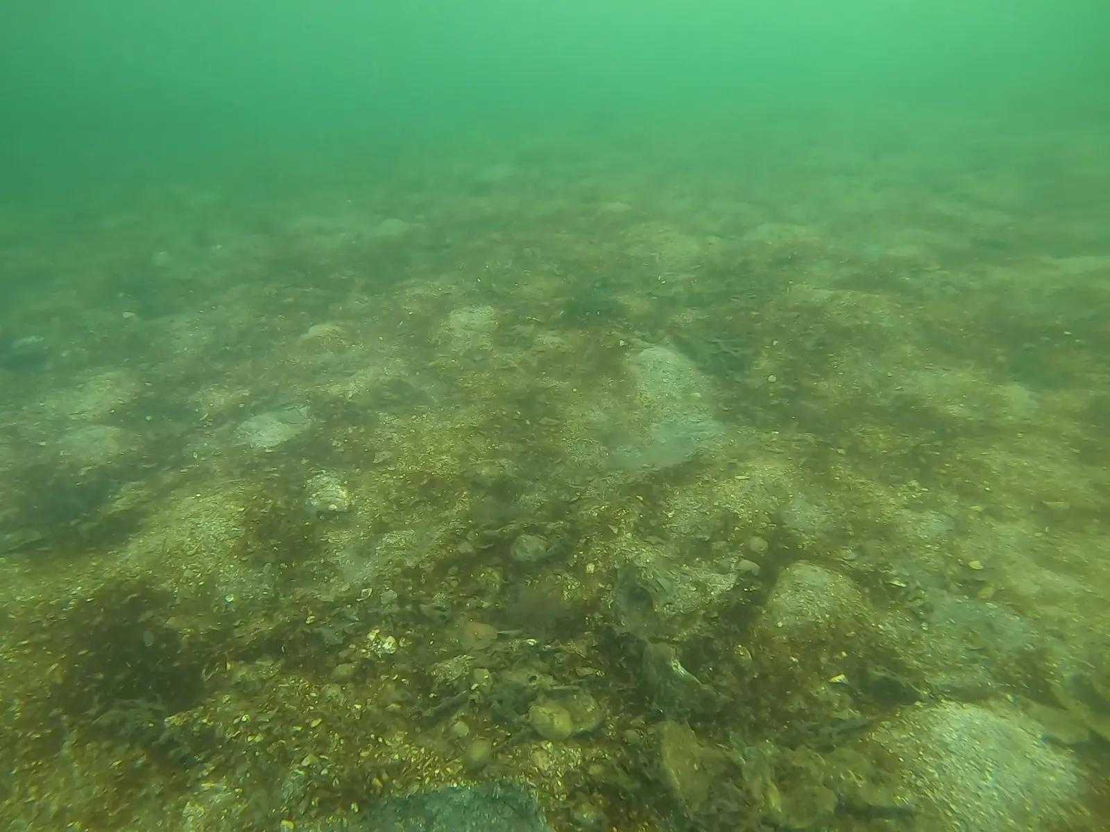 Legend for Figure 4 showing Substrate Type: Sediment, Rock or rock with sediment veneer, Wood & bark debris
