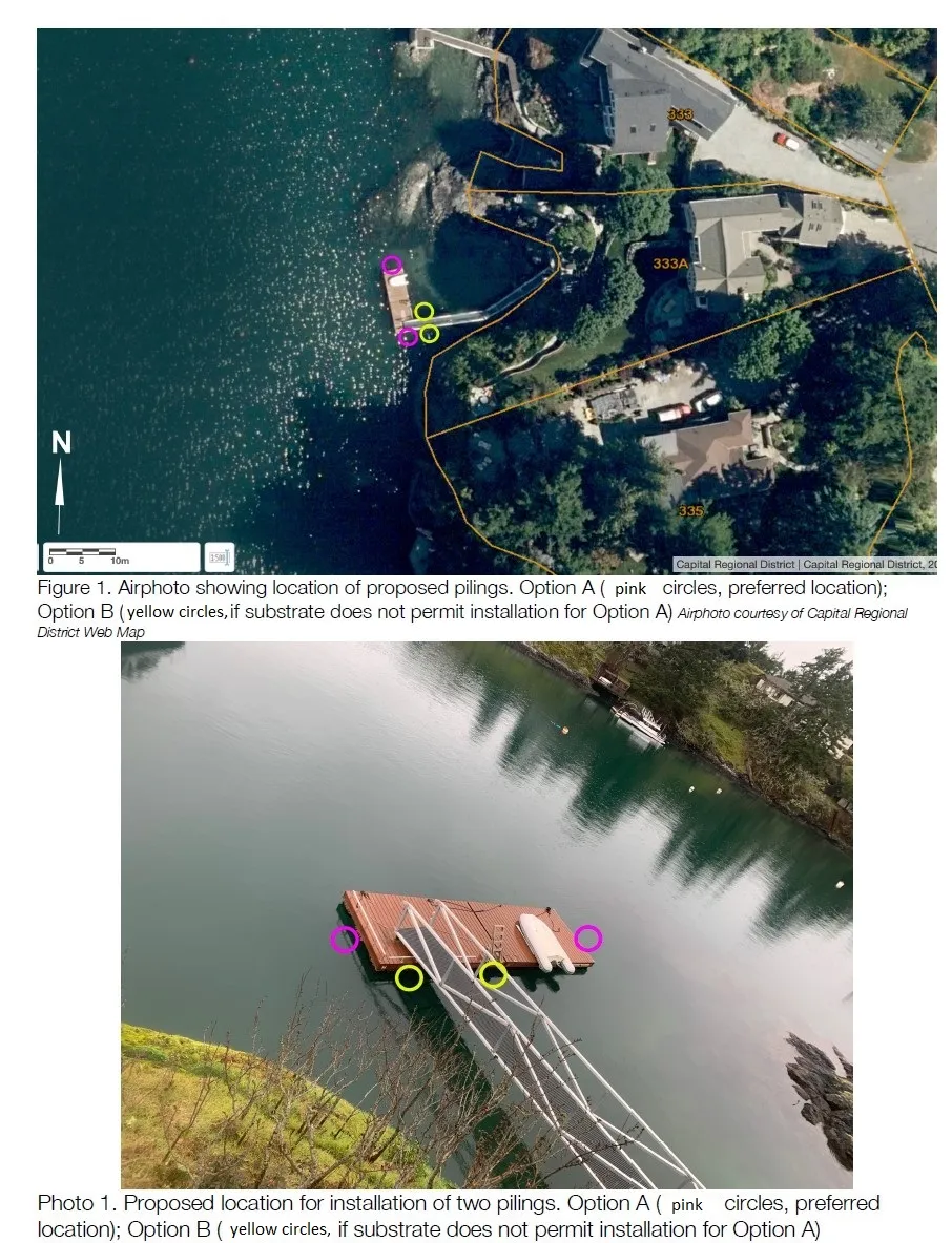 Figure 1. Airphoto showing location of proposed pilings. Option A (pink circles, preferred location); Option B (yellow circles, if substrate does not permit installation for Option A)