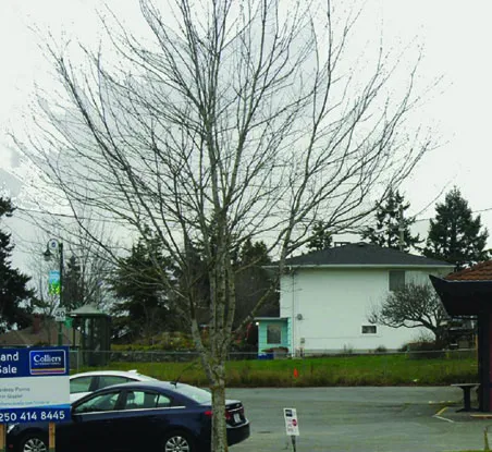 Proposed 6-storey mixed-use development site plan
