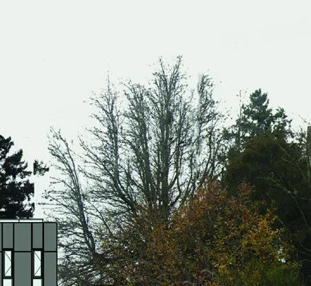 Canopy No.1 cross-sectional detail