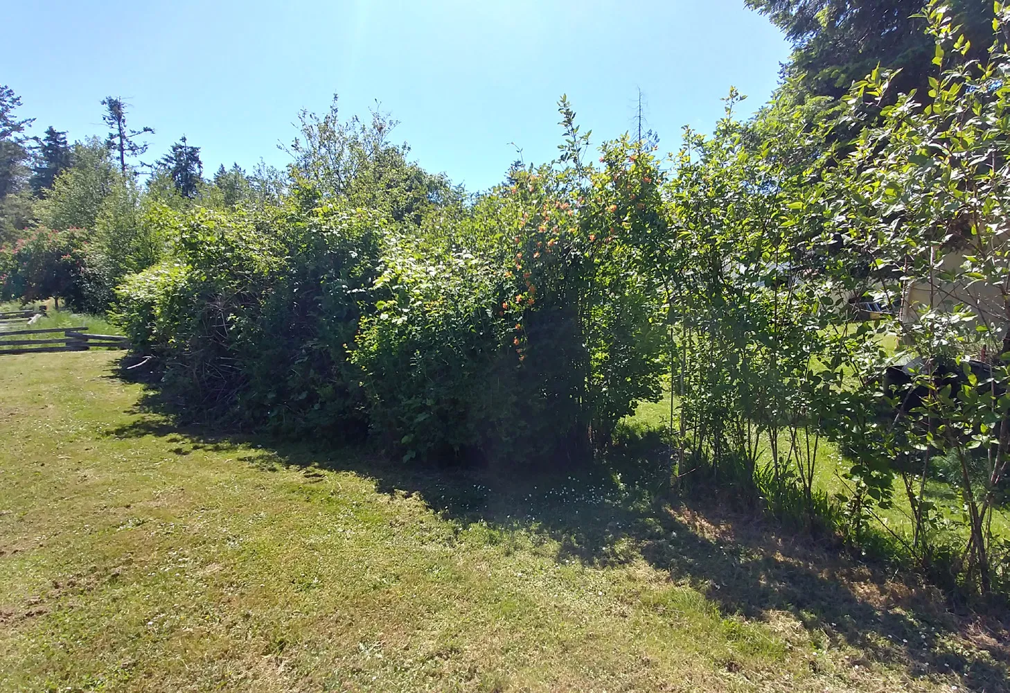 Photo from the Portage Park playground looking northwest toward the site