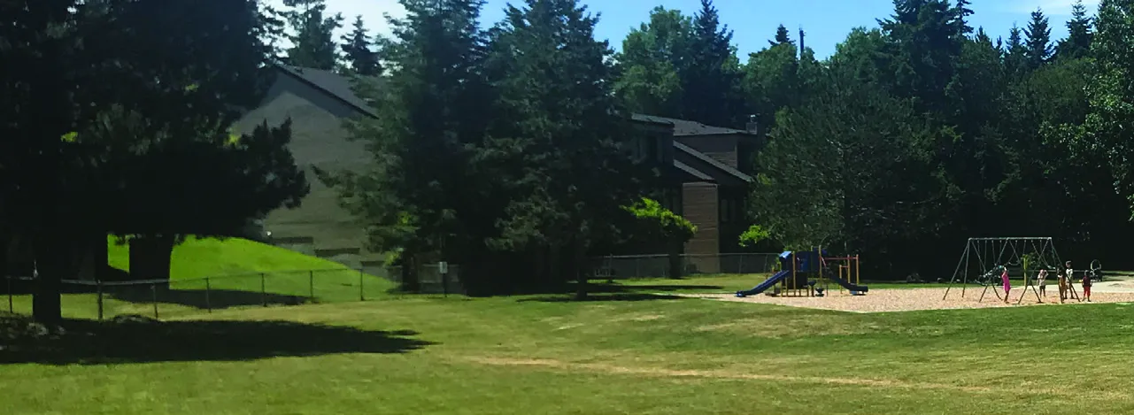 A grassy park area with large trees and a playground in the background where children are playing
