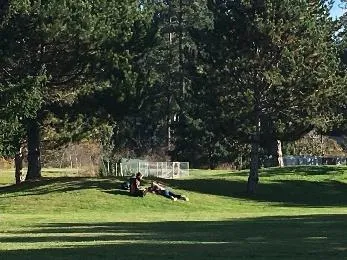 Enjoying the shady open space (south side)