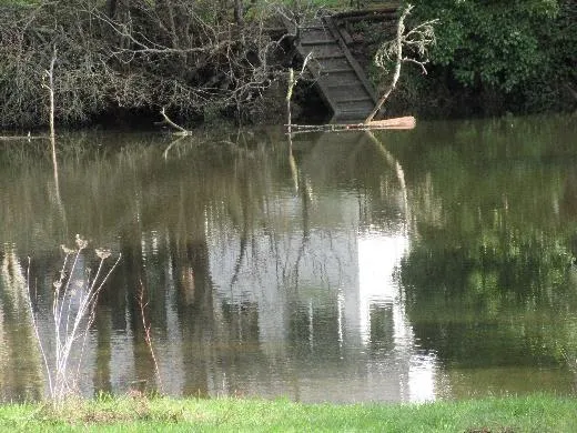 Craigflower Creek adjacent park Jan. 2020 (bottom left)
