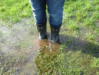Creek overflowing its bank at location of proposed viewing platform Jan. 2020