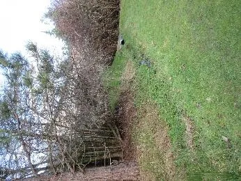 Creek overflowing its banks Jan. 2020