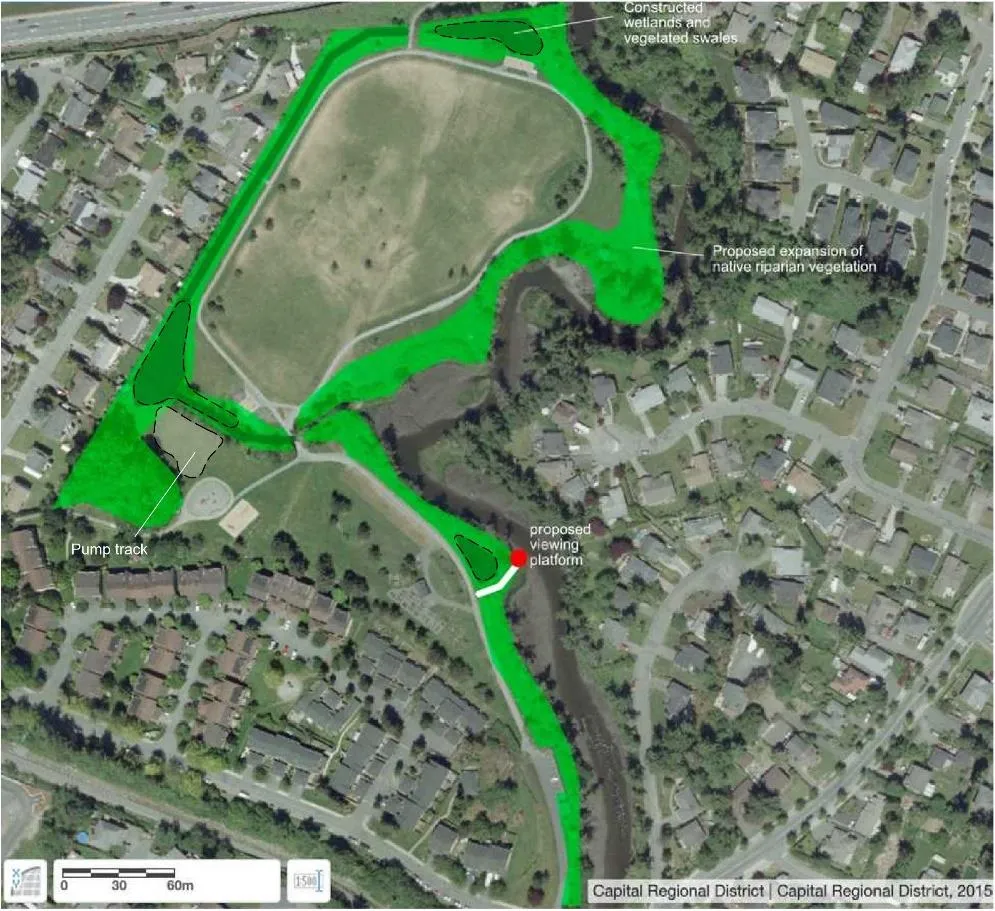 Photo 1. Proposed area for riparian zone expansion between Craigflower Creek to the right, and the trail from parking on the left.