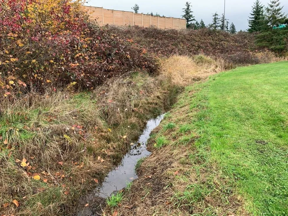 Significant ponding west of pump track Jan. 2020 (top)