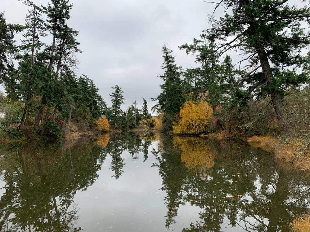 Significant ponding west of pump track Jan. 2020 (bottom)