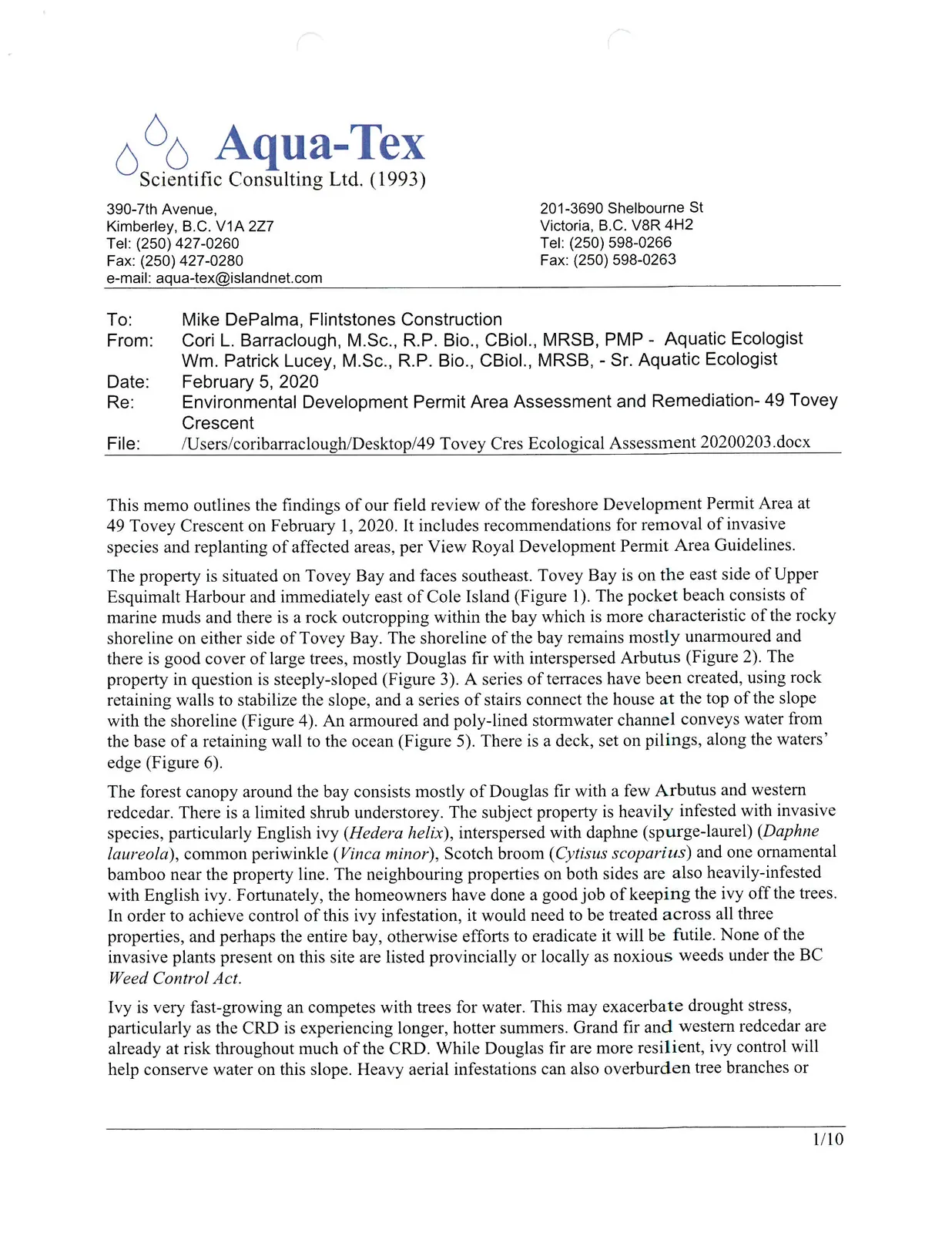 Document image