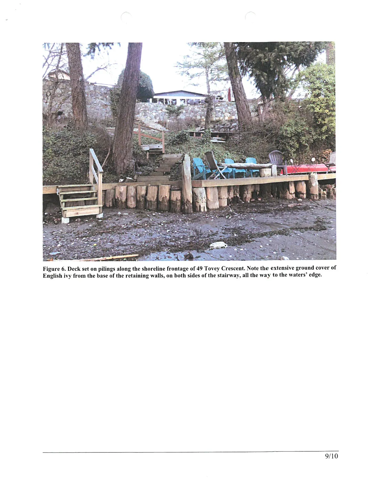 Figure 6. Deck set on pilings along the shoreline frontage of 49 Tovey Crescent. Note the extensive ground cover of English ivy from the base of the retaining walls, on both sides of the stairway, all the way to the waters' edge.