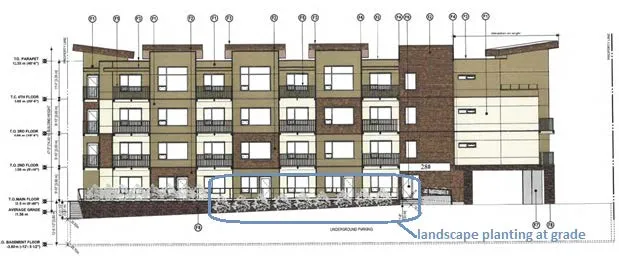 Building elevation rendering showing landscape planting at grade