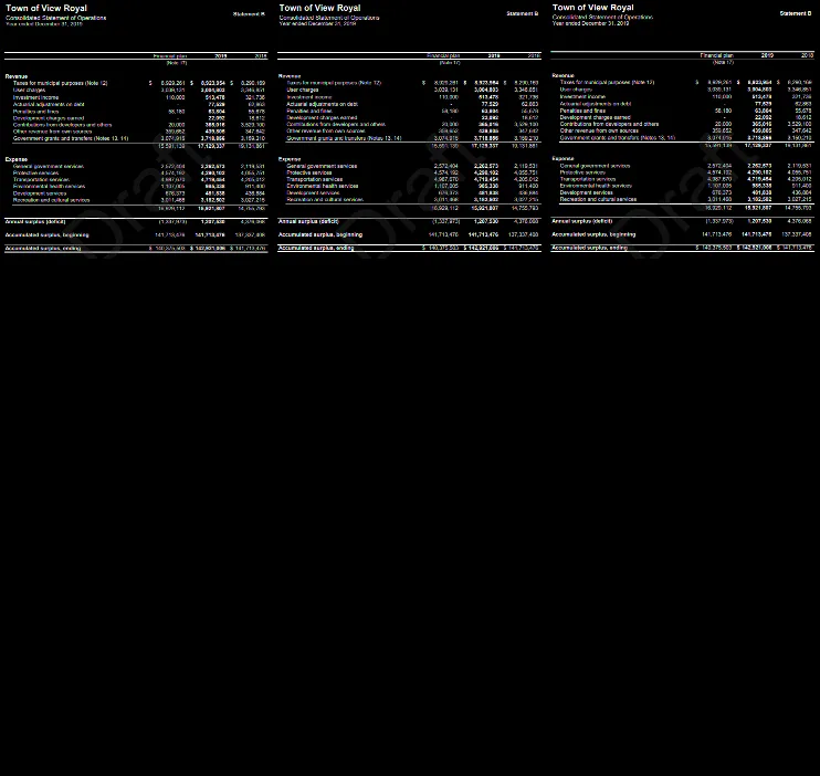 Consolidated Statement of Change in Net Financial Assets (Statement C)