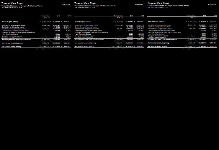 Consolidated Statement of Cash Flows (Statement D)