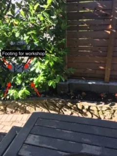 Photo of a laurel hedge and wooden fence with red arrows pointing to the ground area and a caption "Footing for workshop"