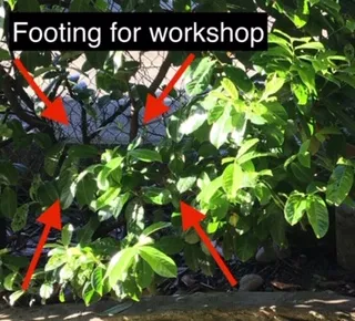 Photo of a laurel hedge and wooden fence with red arrows pointing to the ground area and a caption "Footing for workshop"